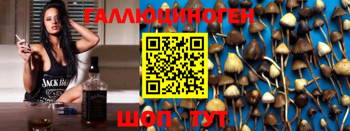 Усинск  Галлюциногенные грибы Psilocybine cubensis  Вход с VPN 