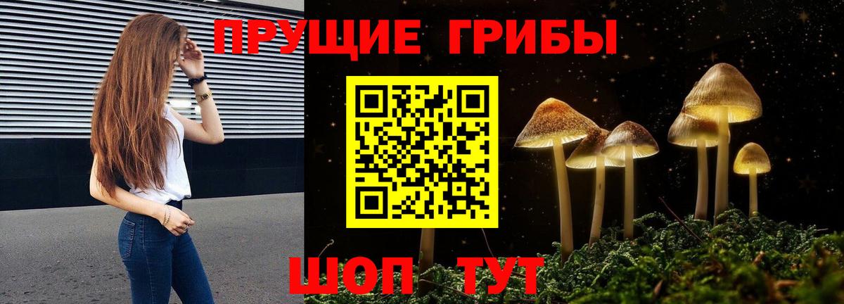 Псилоцибиновые грибы GOLDEN TEACHER Усинск